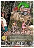 Schwinn 1970 01.jpg